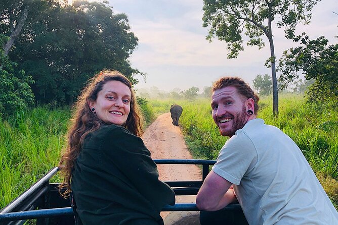Minneriya National park Safari Sri Lanka - Price and Logistics: What the $100 Really Covers