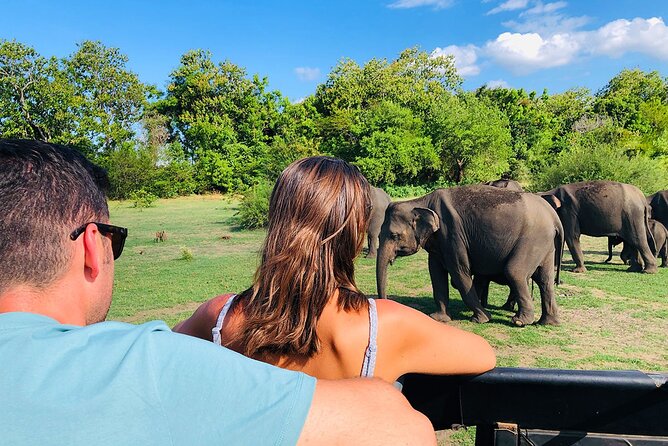 Minneriya National park Safari Sri Lanka - A Few Things to Consider Before You Book