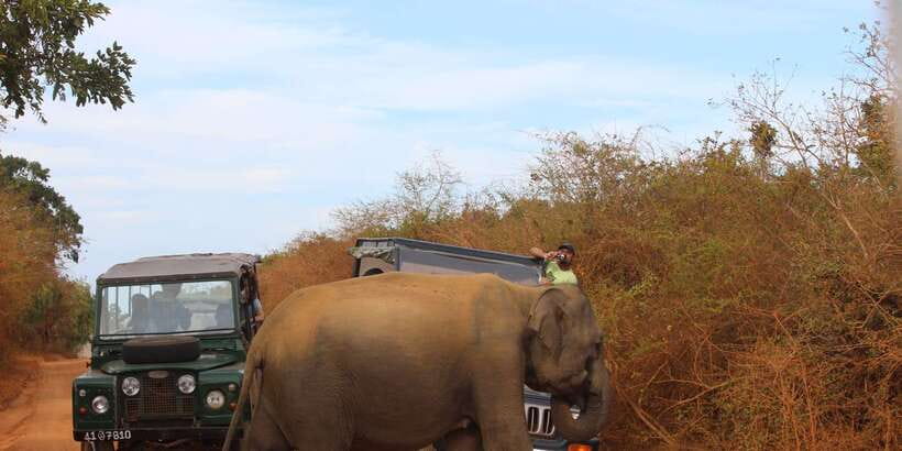 Minneriya: Private Jeep Safari From Trincomalee - Key things I’d plan around