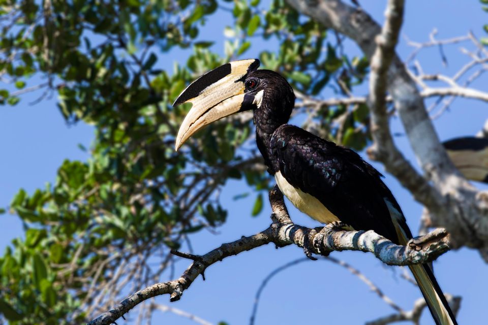 Mirissa/Galle/Hikkaduwa: Transfer to Ella & Udawalawa Safari - The ride to Ella after the safari: comfortable and practical