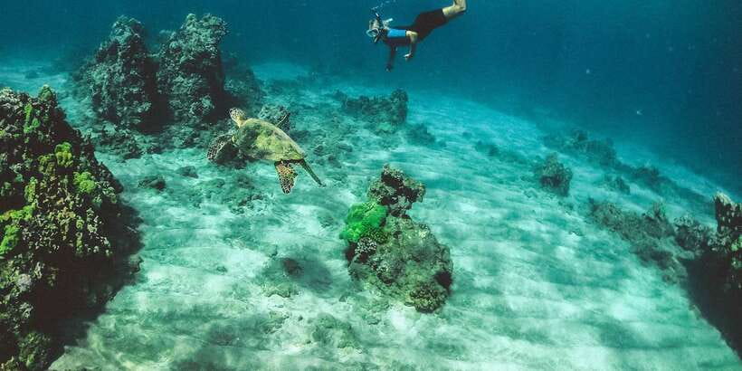Mirissa: Snorkeling Experience with Turtles - Mirissa Turtle Snorkeling: Why This Spot Works
