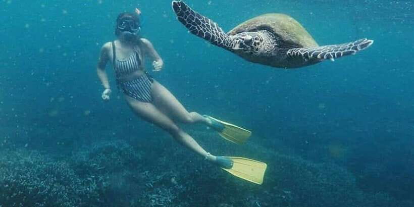 Mirissa: Snorkeling Experience with Turtles - On the Water: What the Snorkel Session Feels Like
