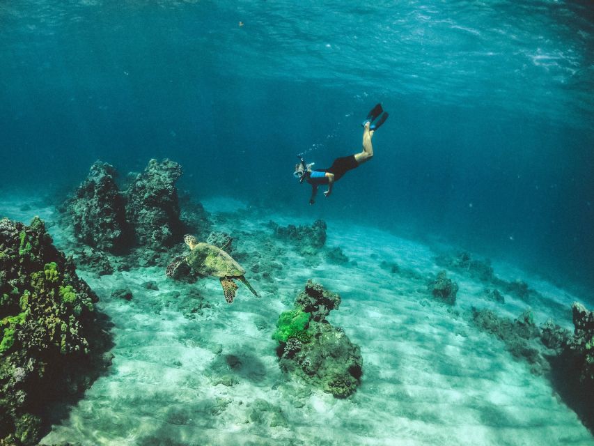Mirissa: Snorkeling Experience with Turtles - Facilities on Shore: Shower, Toilet, and a Cleaner End