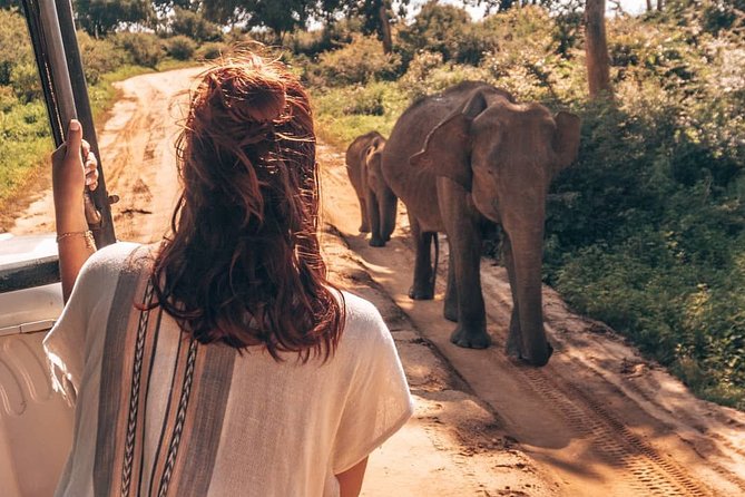 Mirissa to Ella Shuttle & Udawalawe Safari Drive with Breakfast - The transfer part: getting to Ella without the hassle tax
