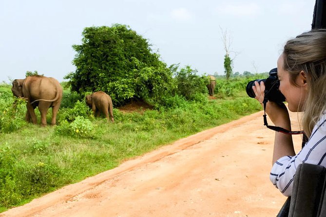 Mirissa to Ella Shuttle & Udawalawe Safari Drive with Breakfast - Safety and driver quality: the one thing I’d verify up front