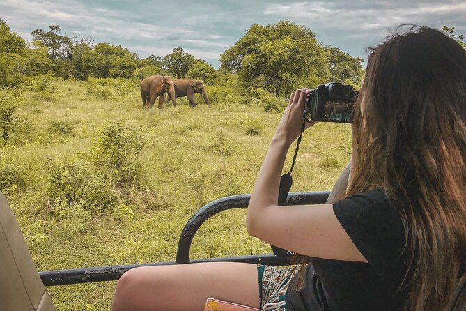 Mirissa to Ella Shuttle & Udawalawe Safari Drive with Breakfast - Inside the safari: what you’re paying for besides a jeep ride
