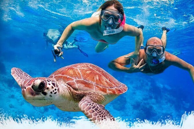 Mirissa Unforgettable Snorkeling Experience with Turtles - Key Highlights