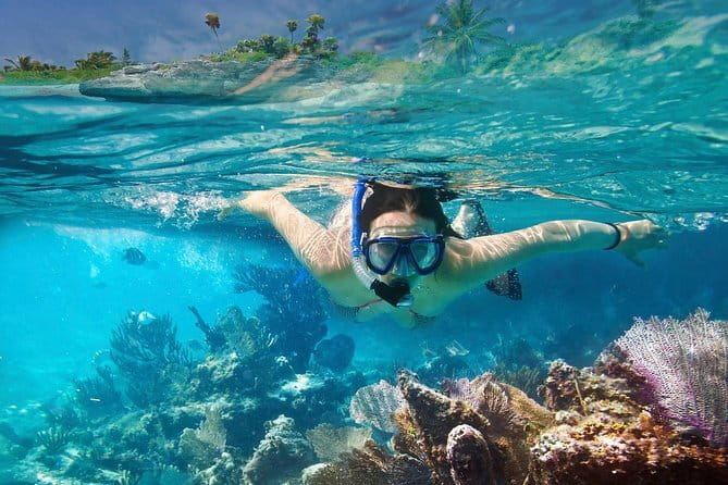 Mirissa Unforgettable Snorkeling Experience with Turtles - Photos and Memories: Why They Include a Photo Stop