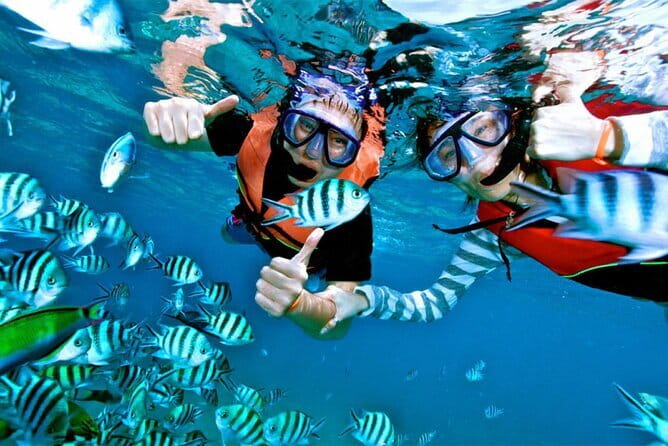 Mirissa Unforgettable Snorkeling Experience with Turtles - Who Should Book This Turtle Snorkel in Mirissa