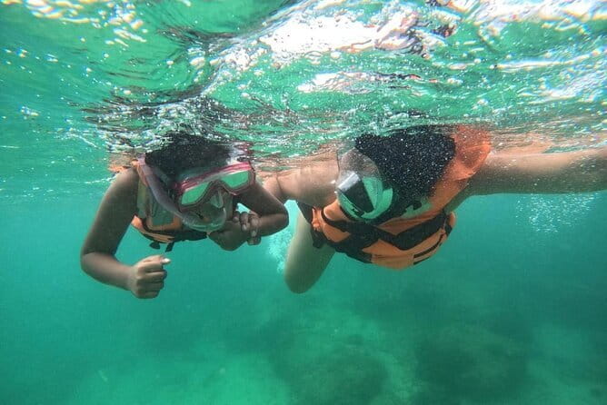 Mirissa Unforgettable Snorkeling Experience with Turtles - The Gear and Coaching That Keep It Fun (Not Stressful)