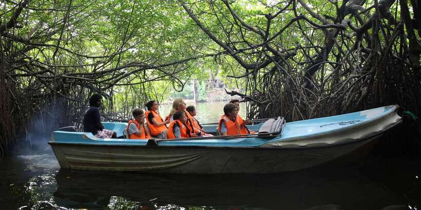 Mirissa/Weligama/Galle: Galle & Bentota Coastal Day Tour - Price check: what $57 really buys, plus the add-ons