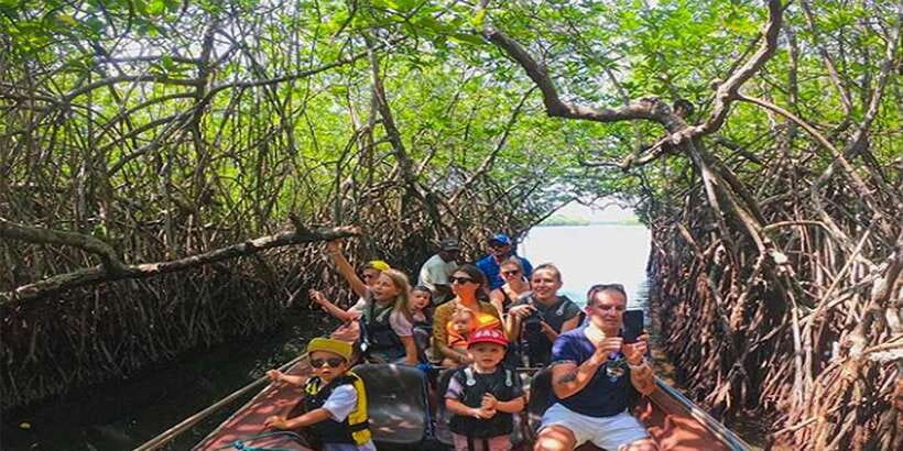 Mirissa/Weligama/Galle: Galle & Bentota Coastal Day Tour - The Madu Ganga boat safari: the wildlife moment that drives the whole day