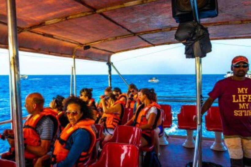 Mirissa: Whale Watching Cruise - Key Points at a Glance