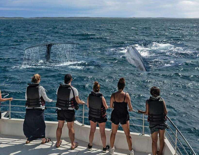 Mirissa: Whale Watching Cruise - The 6-Hour Rhythm: From Mirissa Pickup Back to Mirissa