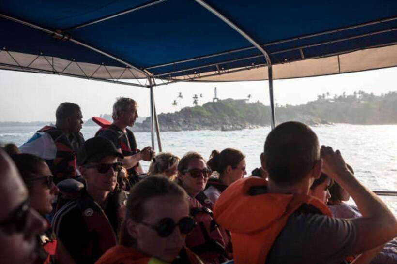 Mirissa: Whale Watching Cruise - How This Tour Fits Different Types of Visitors
