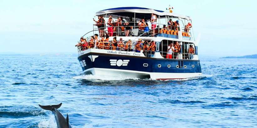 Mirissa: Whale Watching Tour - Mirissa waters: what you’re really paying for