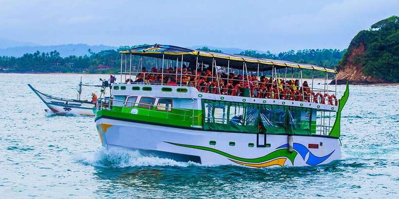 Mirissa: Whale Watching Tour - Which whales you might see, and how you’ll learn to tell them apart