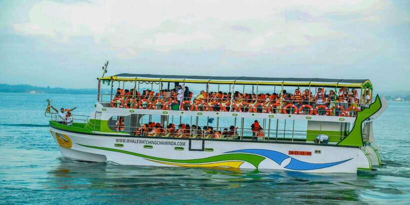 Mirissa: Whale Watching Tour - Who this tour suits best (and who should skip it)