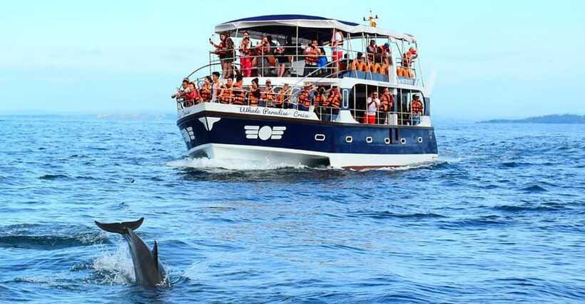 Mirissa Whale Watching, Tour A Once-in-a-Lifetime Experience - Views, sea conditions, and what to wear for a smoother ride