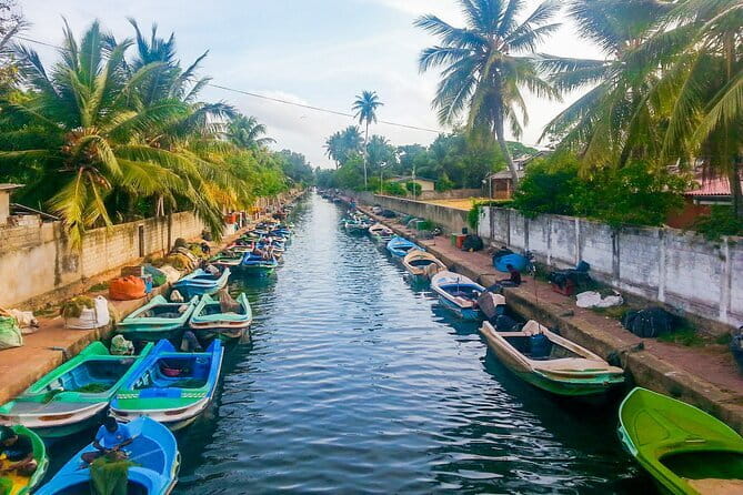 Monkey Island Boat Tour at Negombo Lagoon - Watching local fishermen: nets, fish, and real lagoon work