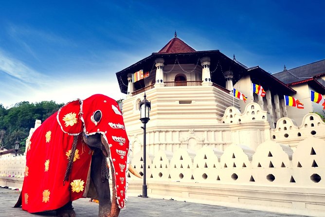 Most Popular Round Tour (5 Days) in Sri Lanka From Mirissa - Who this tour suits best (and who should choose differently)