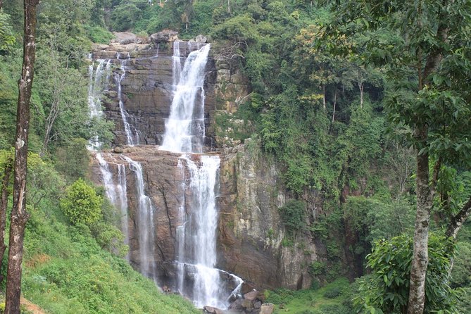 Mr.TukTuk Nuwara Eliya - When this tour is the best fit for your trip