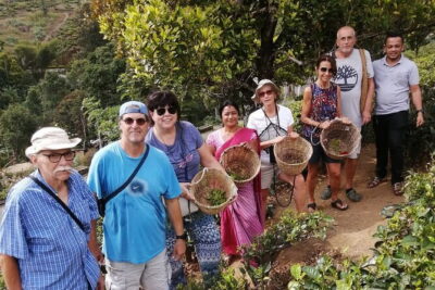 Multi Day Round Private Tour in Sri Lanka - Day 1: Pinnawala elephants, Dambulla cave temple, Minneriya safari
