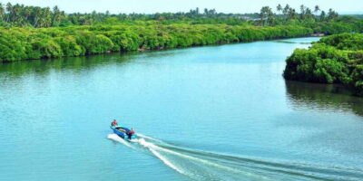 Muthurajawela Bird Watching Tour from Negombo and Colombo - Getting There: Tuk Tuk Pickup and a Fresh-Early Start