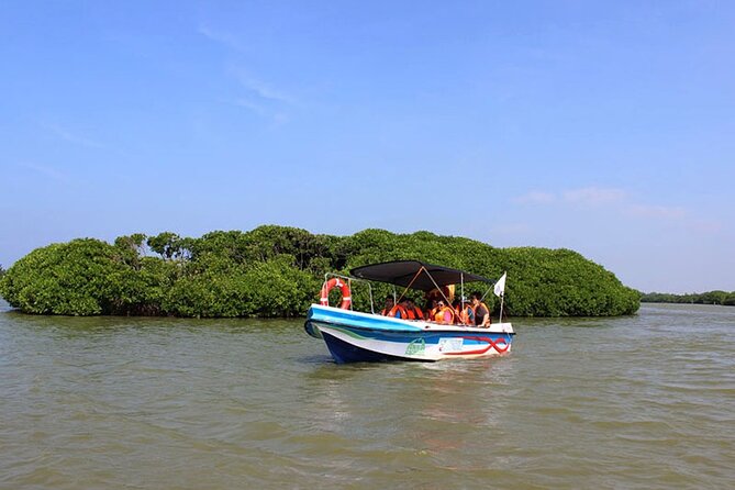 Muthurajawela Bird Watching Tour from Negombo / Colombo - Key things to know before you go