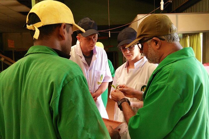 Nandana Tea Walking Tour in Sri Lanka - The optional home-cooked meal (and why wrapping matters)