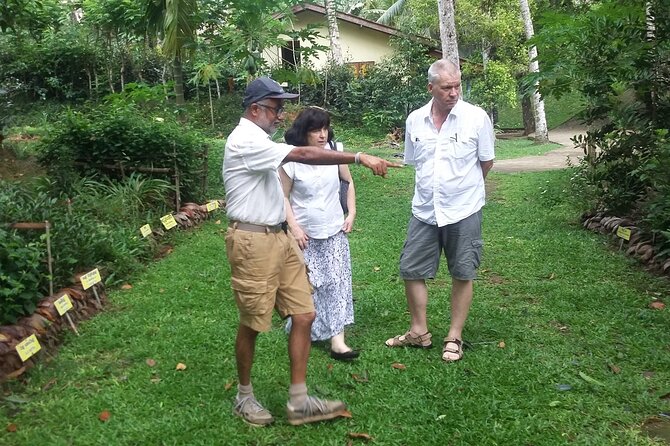 Nandana Tea Walking Tour in Sri Lanka - Small-group feel: the human side of Nandana