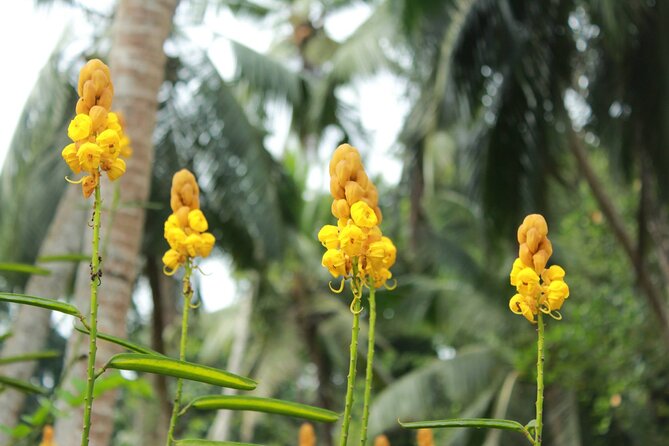 Nandana Tea Walking Tour in Sri Lanka - Logistics that affect your comfort (more than you think)