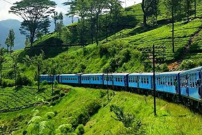 Nanu Oya to Ella train ride on (Train No: 1005 "Podi Menike") - Key Things I’d Prioritize