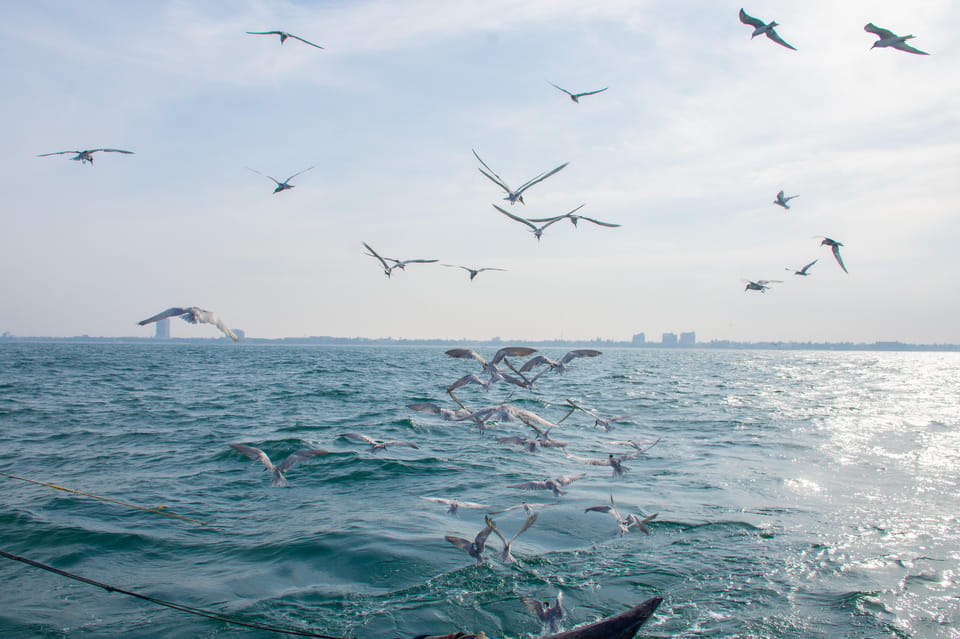 Negombo: Catamaran Sailing with Traditional Fishermen - Itinerary flow you’ll actually feel on the water