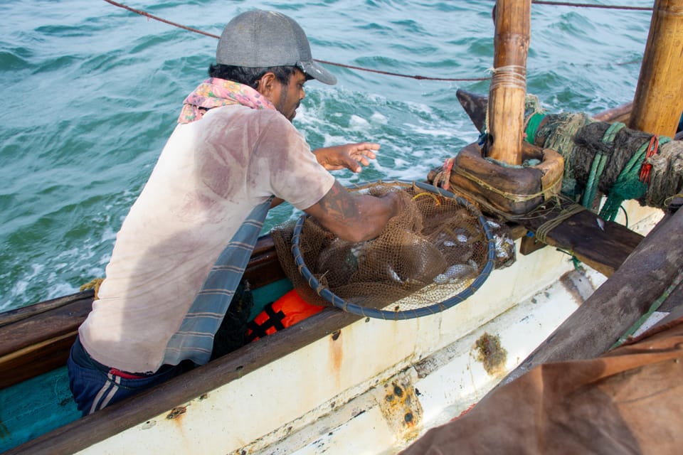 Negombo: Catamaran Sailing with Traditional Fishermen - The blue lagoon to open ocean: where the sailing becomes the show