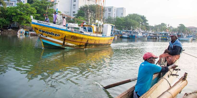 Negombo: Catamaran Sailing with Traditional Fishermen - Sea birds, unwanted fish, and a close look at local ecology