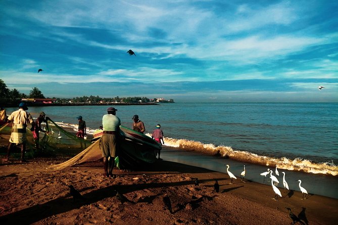 Negombo Day Tour - Why Negombo makes a great half-day “get your bearings” plan