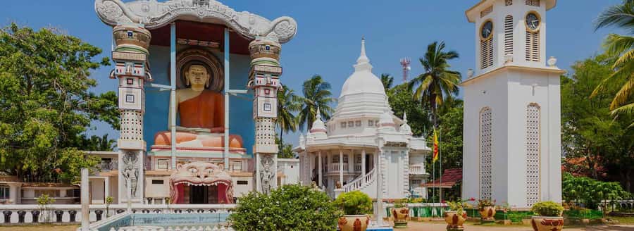 Negombo: Guided City Tour by Tuk Tuk with Hotel Pickup - Negombo Fish Market: fresh seafood, loud energy, and quick lessons