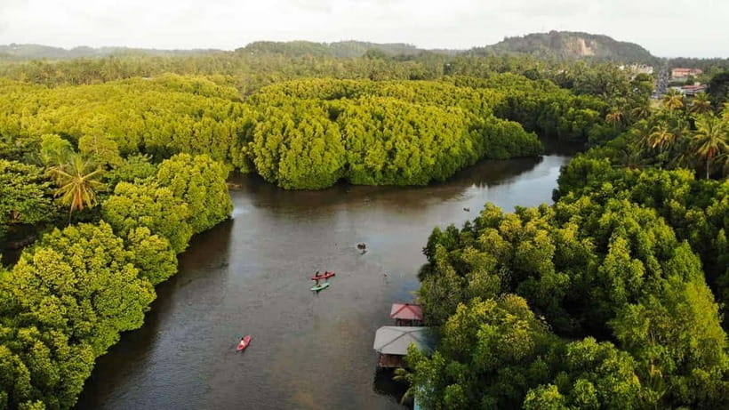 Negombo: Guided Kayaking Tour in the Lagoon - Key highlights you’ll care about