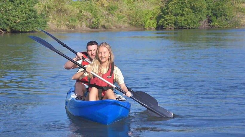 Negombo: Guided Kayaking Tour in the Lagoon - Mangroves Up Close: How the Channels Shape the Wildlife You See