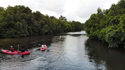 Negombo: Guided Kayaking Tour in the Lagoon - Kayaks and Paddling Reality: Calm Water, but Not Zero Effort