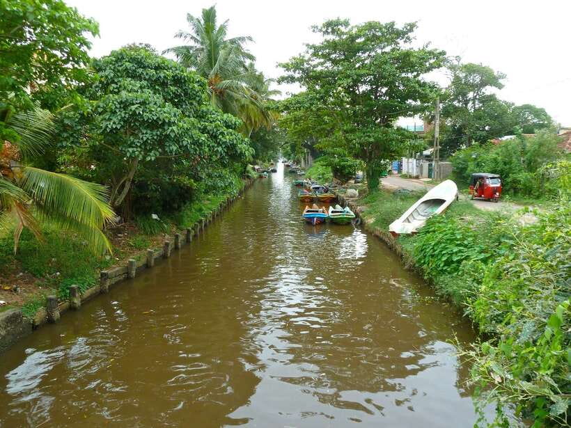 Negombo: Hamilton Canal to Colombo by Boat via Muthurajawela - Key things that make this cruise work