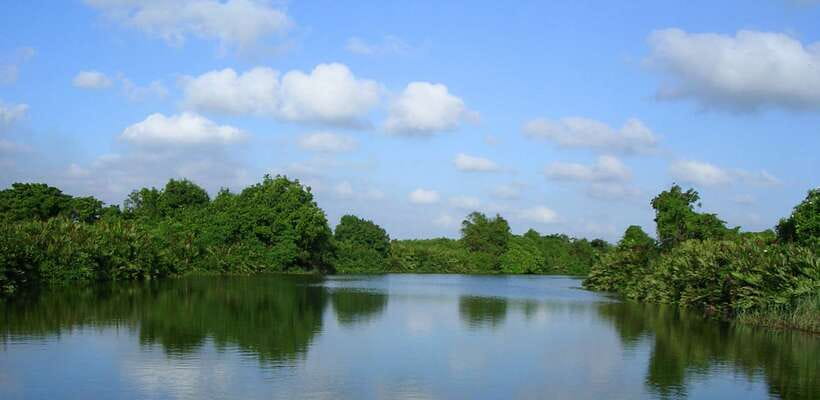 Negombo: Hamilton Canal to Colombo by Boat via Muthurajawela - So, should you book this Negombo boat cruise?