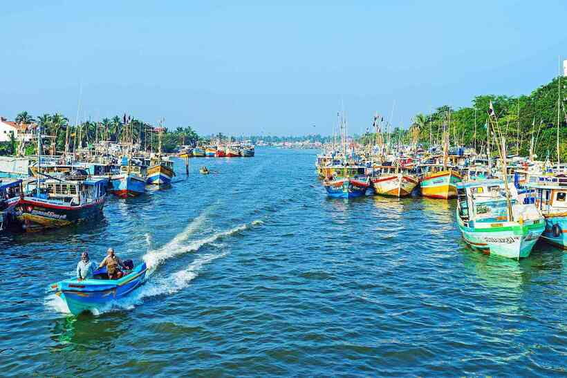 Negombo: Hamilton Canal to Colombo by Boat via Muthurajawela - Dutch canal to Negombo Lagoon: the part that sets the tone