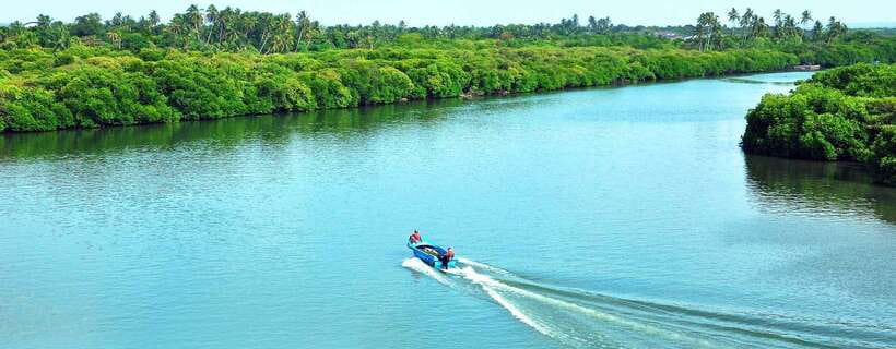 Negombo: Hamilton Canal to Colombo by Boat via Muthurajawela - Muthurajawela Wetland visitor center: where the cruise turns educational
