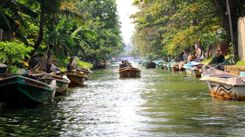 Negombo: Hamilton Canal to Colombo by Boat via Muthurajawela - The guide experience: stories you’ll actually remember