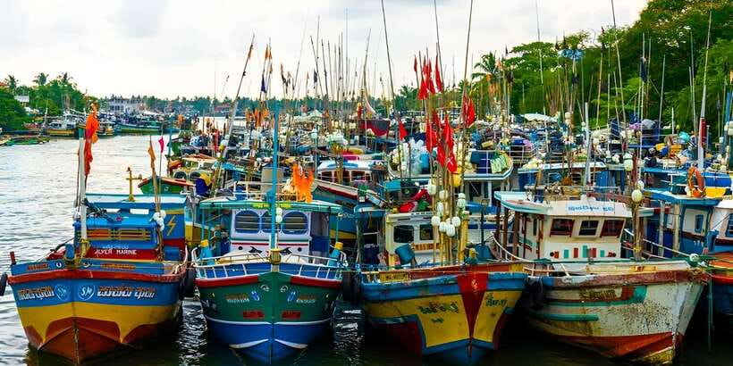 Negombo Heritage Walking Tour - Why this Negombo Heritage Walk makes sense (and for whom)