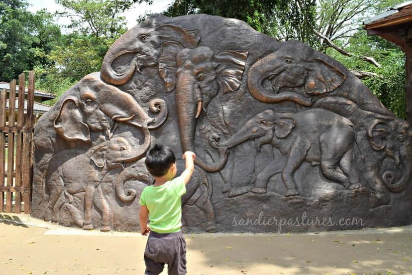 Negombo: Kandy and Pinnawala Elephant Orphanage Day Tour - Key moments that make this day tour worth your time