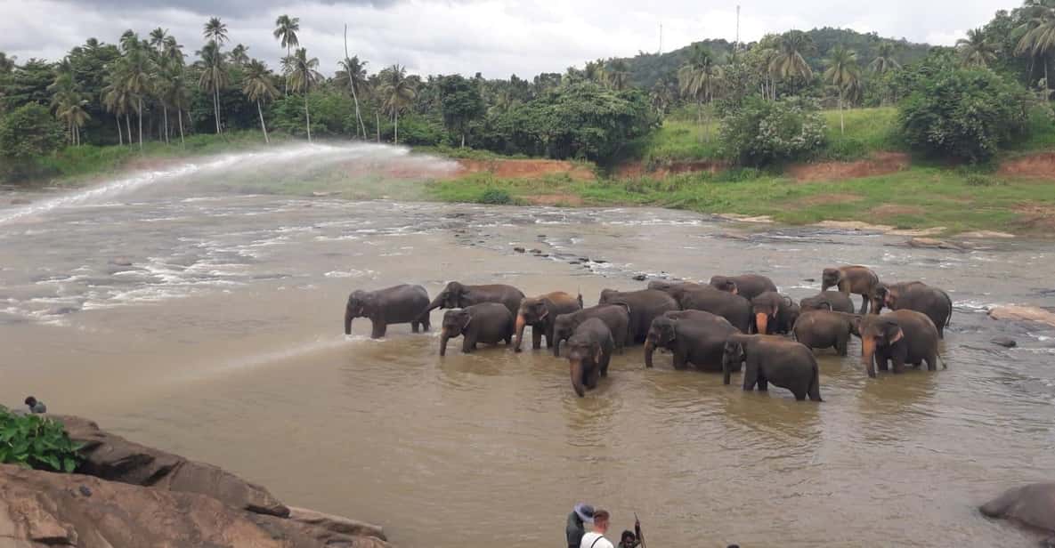 Negombo: Kandy and Pinnawala Elephant Orphanage Day Tour - Gem museum and lapidary: a practical stop for Sri Lanka’s export culture