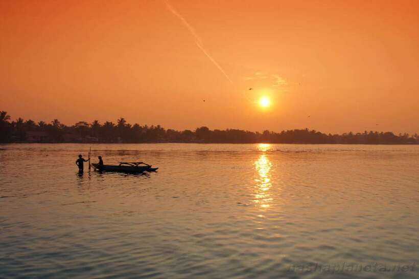 Negombo Lagoon (Mangrove ) Boat Excursion - Key highlights you’ll care about